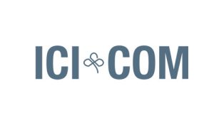 Webdesign icicom